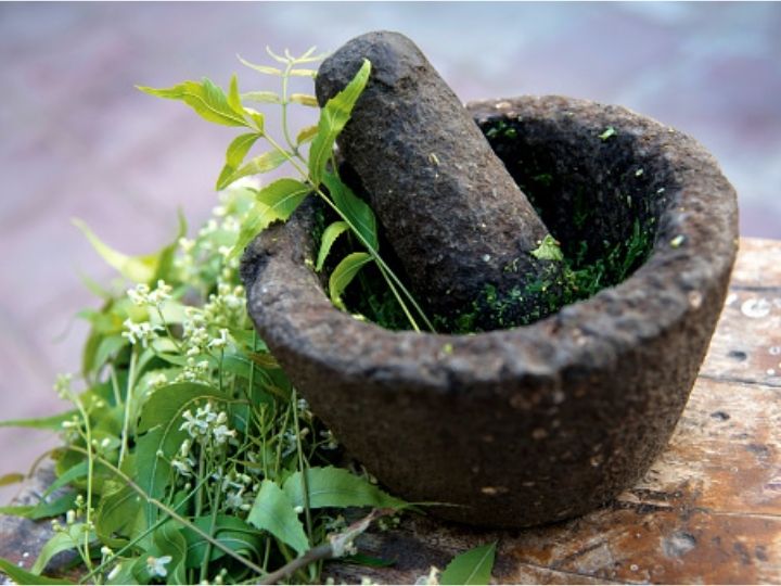Cabinet Approves Establishment Of WHO Global Centre For Traditional Medicine  Under AYUSH Ministry