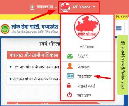 Madhya Pradesh E District Portal Profile Dashboard for New Applicant