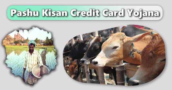 Pashu Kisan Credit Card Yojana