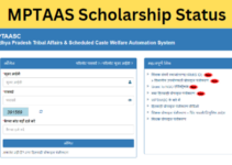 MPTAAS Scholarship Status 2024: Check Online at tribal.mp.gov.in, Eligibility