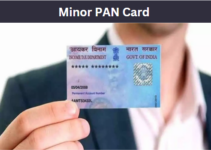 Minor PAN Card 2024: How To Apply Online & Offline, Check Documents