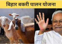 Bihar Bakri Palan Yojana 2024: बिहार बकरी पालन योजना के तहत मिलेगा ₹13,500 का अनुदान, ऑनलाइन आवेदन करे