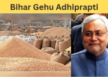 Bihar Gehu Adhiprapti 2024-25: बिहार गेहूँ अधिप्राप्ति योजना शुरू हुई, जाने कैसे करें आवेदन प्रक्रिया