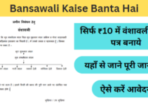 Bansawali Kaise Banta Hai: घर बैठे ₹10 में बनाये अपना वंशावली प्रमाण पत्र, Form PDF