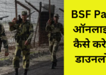 BSF Pay Slip 2024 Online Check @ bsf.gov.in | बीएसएफ सैलेरी स्लिप Download